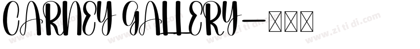 CARNEY GALLERY字体转换